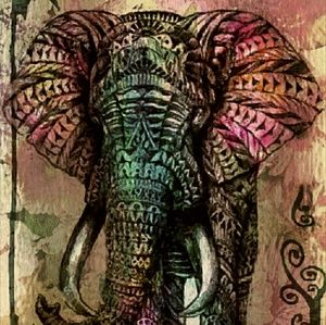 Meet your Posher, Sharonda